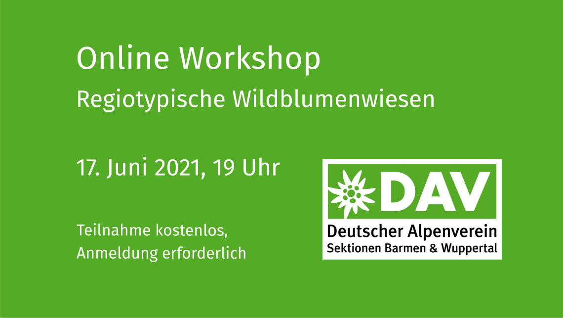 Online Workshop Wildblumenwiese